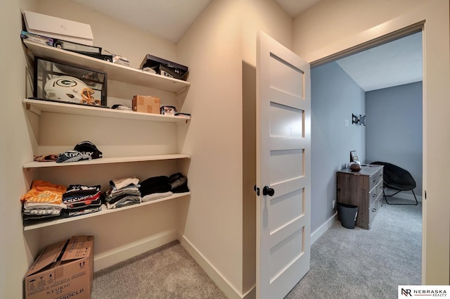 walk in closet with light carpet