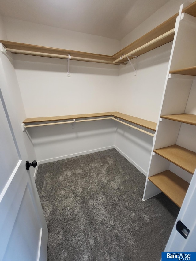 spacious closet featuring dark carpet