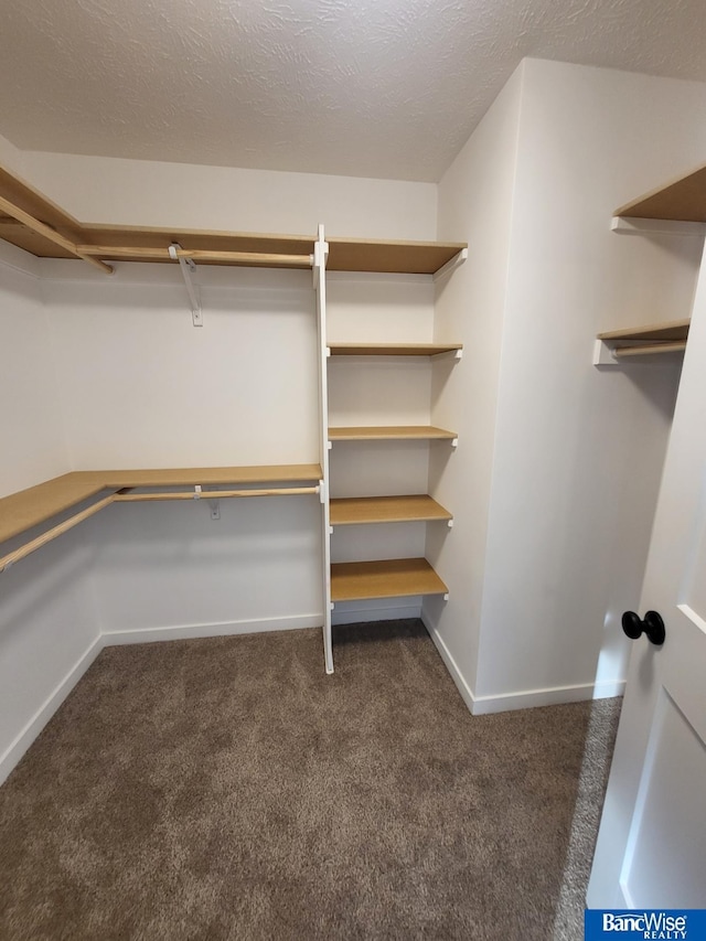 walk in closet featuring dark colored carpet