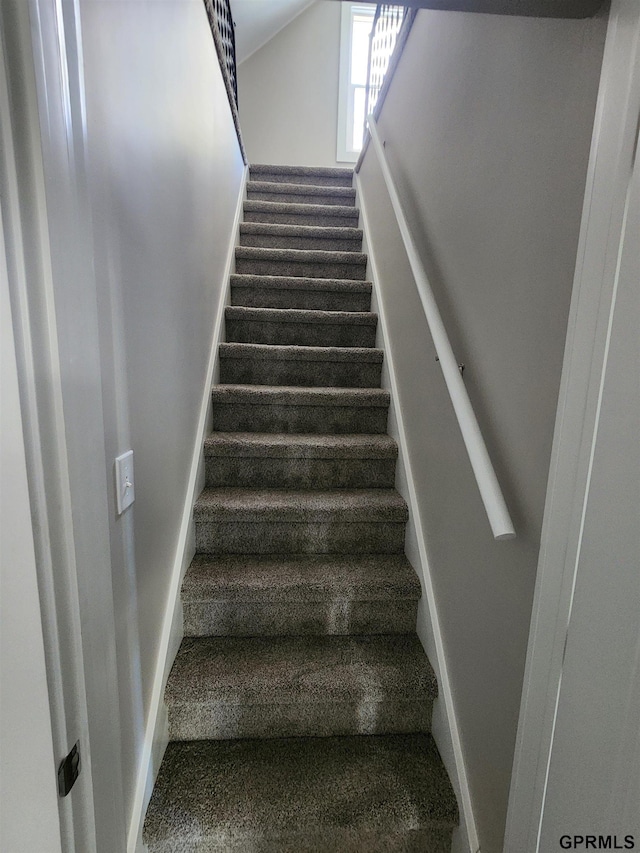 stairs with carpet floors