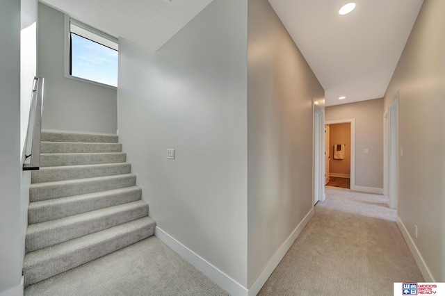 stairway featuring carpet floors