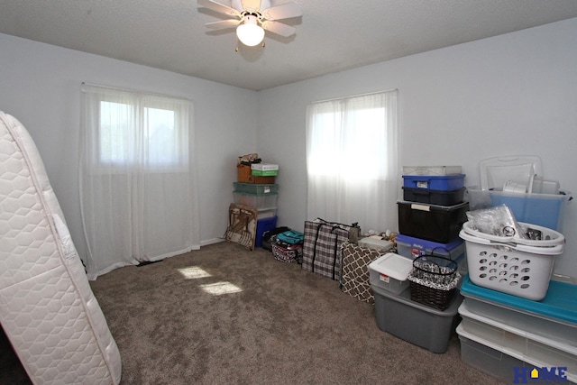 interior space with ceiling fan