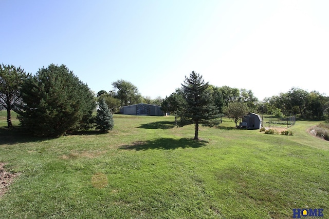 view of yard featuring a storage unit