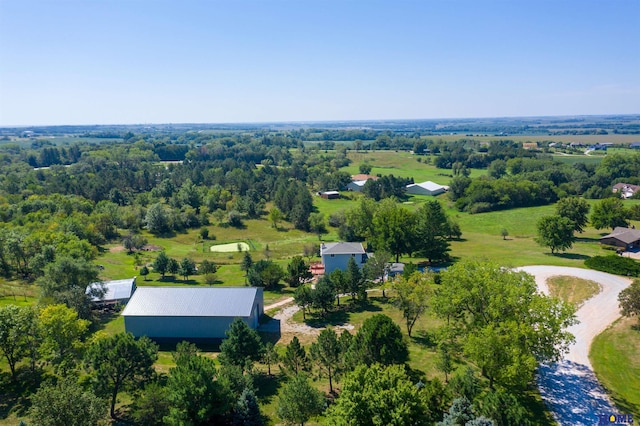 bird's eye view