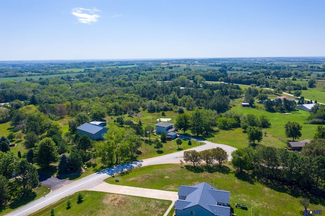 bird's eye view