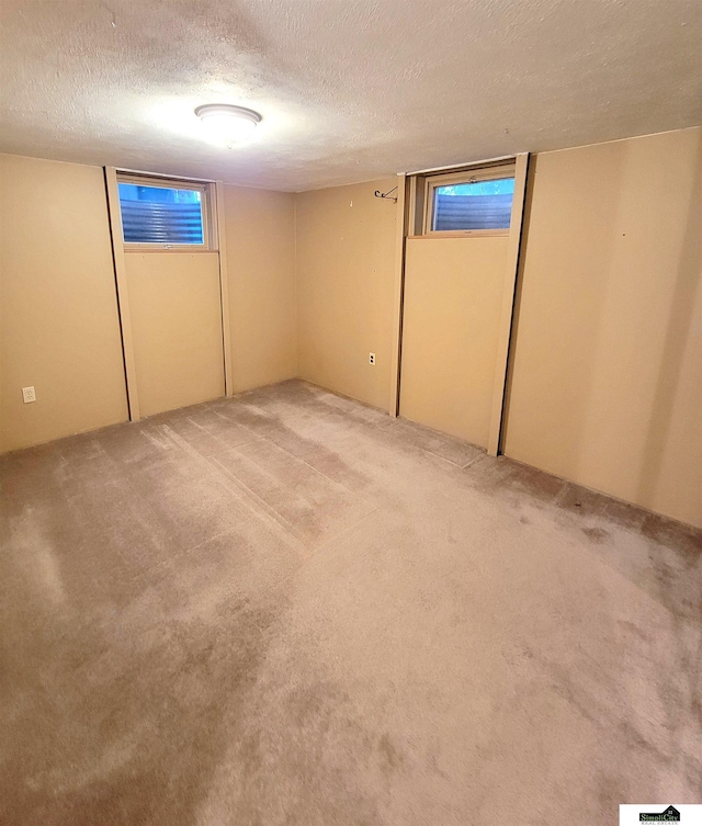 basement with carpet and a textured ceiling