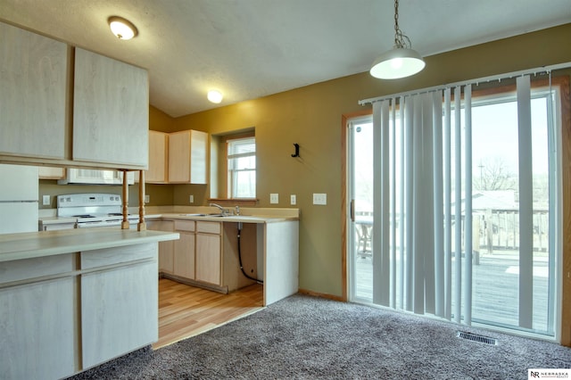 kitchen with hanging light fixtures, plenty of natural light, light carpet, and electric range