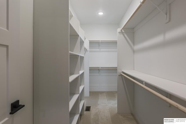 spacious closet featuring light carpet