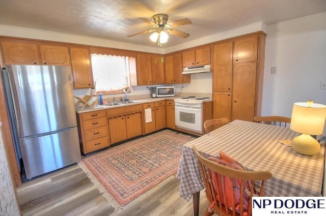 kitchen featuring sink, stainless steel appliances, ceiling fan, and light wood-type flooring