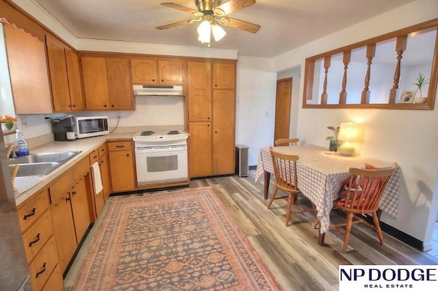 kitchen featuring sink, light hardwood / wood-style flooring, white electric stove, and ceiling fan