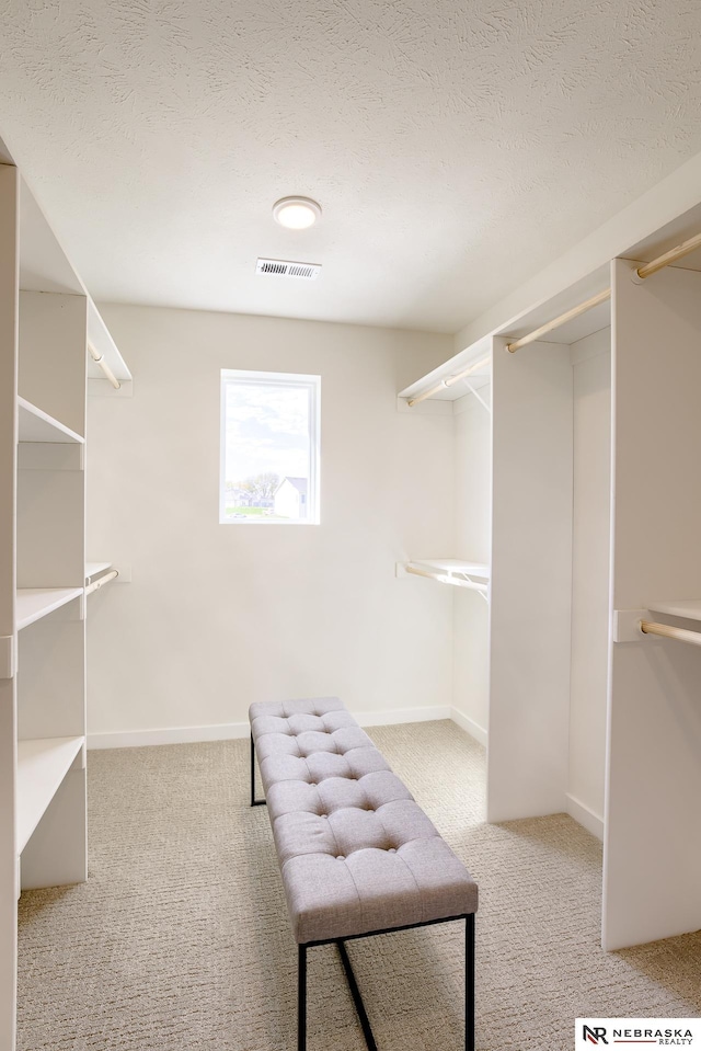 spacious closet featuring light carpet