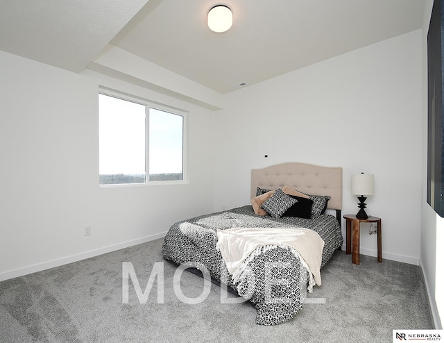 14803 Willow St, Bennington, NE 68007 - bedroom with carpet floors and baseboards