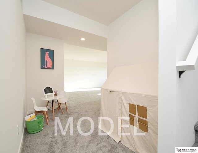 14803 Willow St, Bennington, NE 68007 - playroom featuring carpet floors, recessed lighting, and baseboards