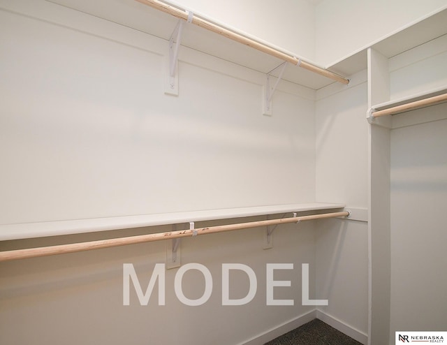 14803 Willow St, Bennington, NE 68007 - view of walk in closet