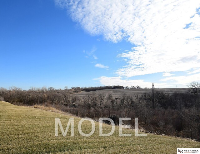 14803 Willow St, Bennington, NE 68007 - view of local wilderness featuring rural landscape
