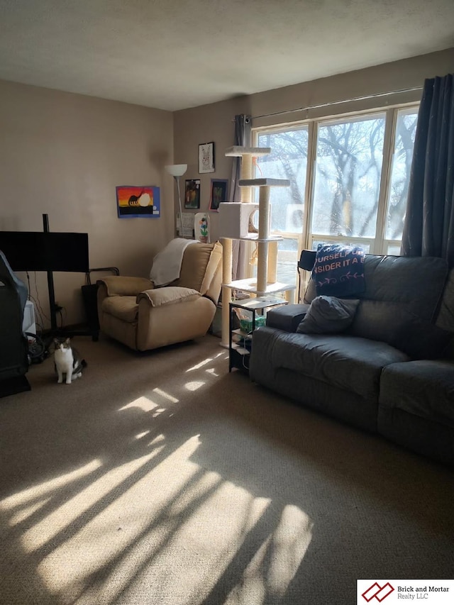 living room featuring carpet floors