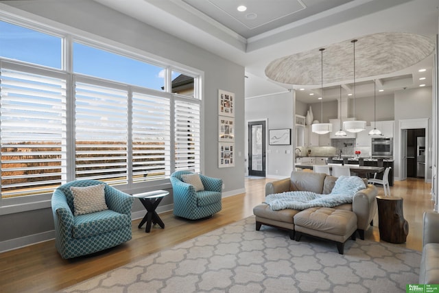 living room featuring light hardwood / wood-style flooring, a raised ceiling, and a high ceiling