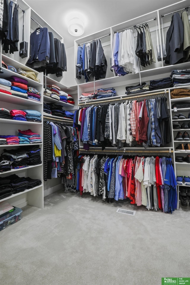 view of walk in closet