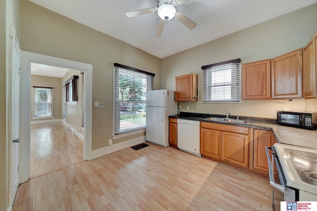 kitchen featuring white appliances, sink, light hardwood / wood-style flooring, and a wealth of natural light