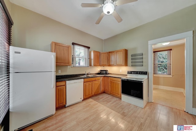 kitchen featuring sink, white appliances, a wealth of natural light, and light hardwood / wood-style floors