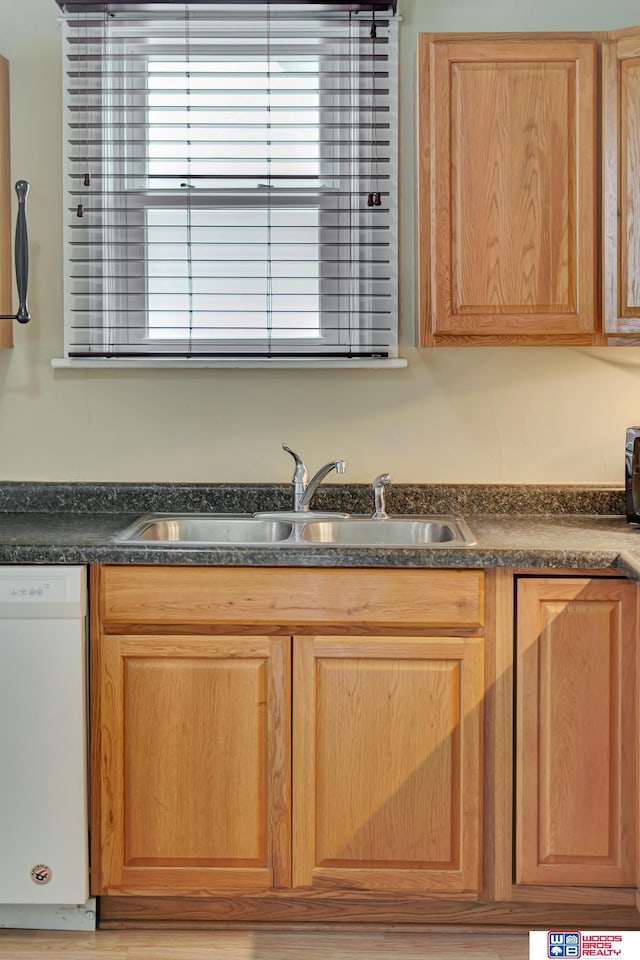 kitchen featuring white dishwasher and sink