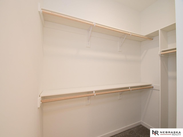 spacious closet featuring dark colored carpet