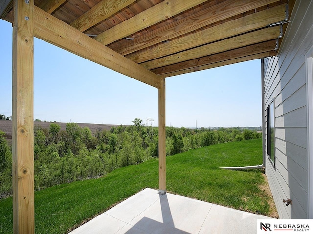 14806 Bruning St, Bennington, NE 68007 - view of green lawn with a patio area
