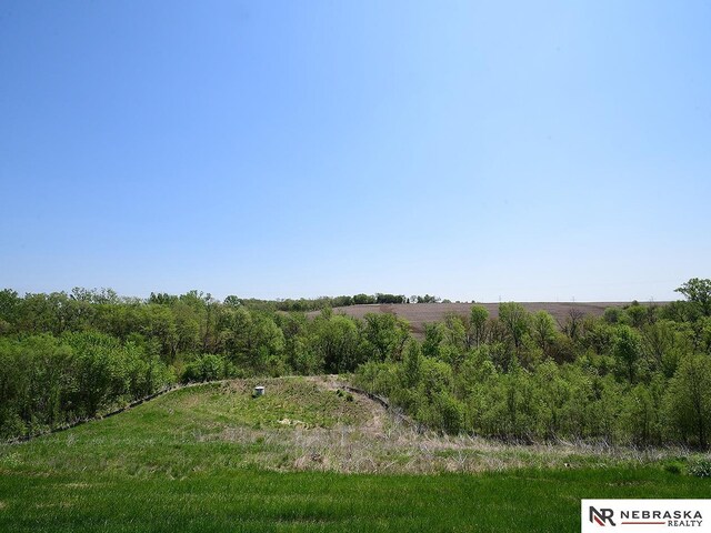 14806 Bruning St, Bennington, NE 68007 - view of nature