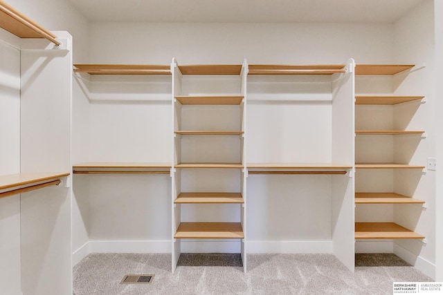 walk in closet with light carpet