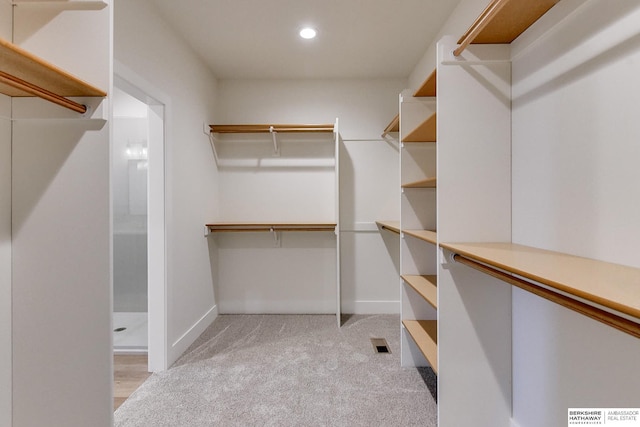 spacious closet with light carpet