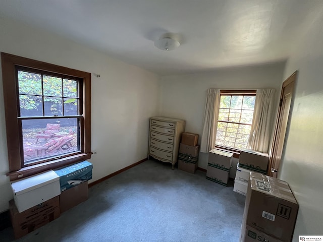 miscellaneous room with carpet flooring