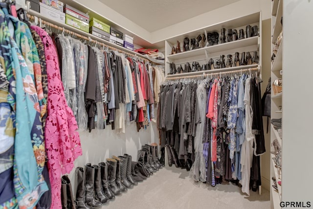 spacious closet featuring carpet