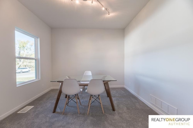 carpeted dining space with track lighting