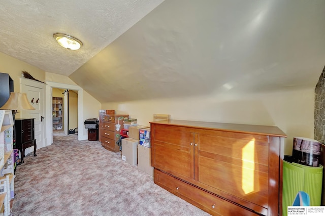 additional living space featuring light colored carpet, lofted ceiling, and a textured ceiling