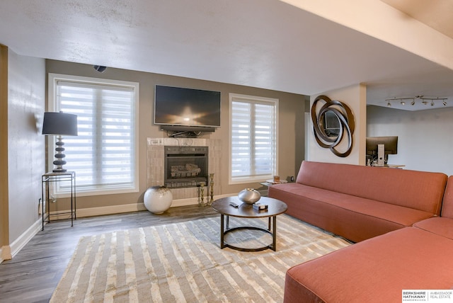 living room with hardwood / wood-style floors