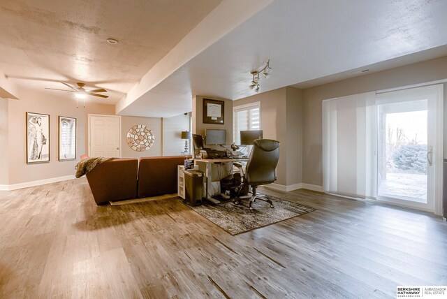 dining area with ceiling fan and light hardwood / wood-style floors