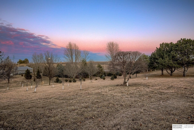 nature at dusk with a rural view