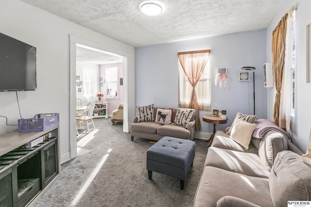 living room featuring carpet flooring and a textured ceiling