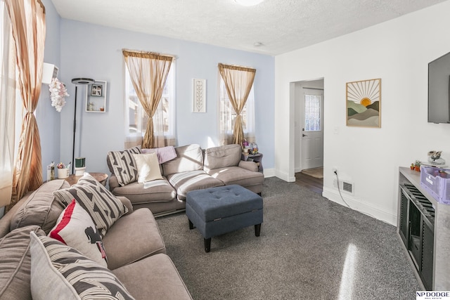 living room with a textured ceiling