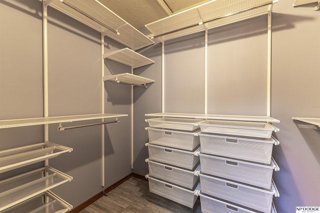 spacious closet featuring dark hardwood / wood-style flooring