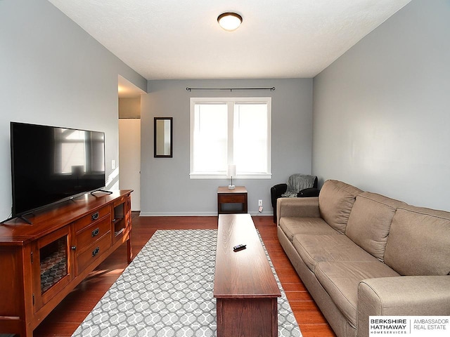 living room featuring wood-type flooring