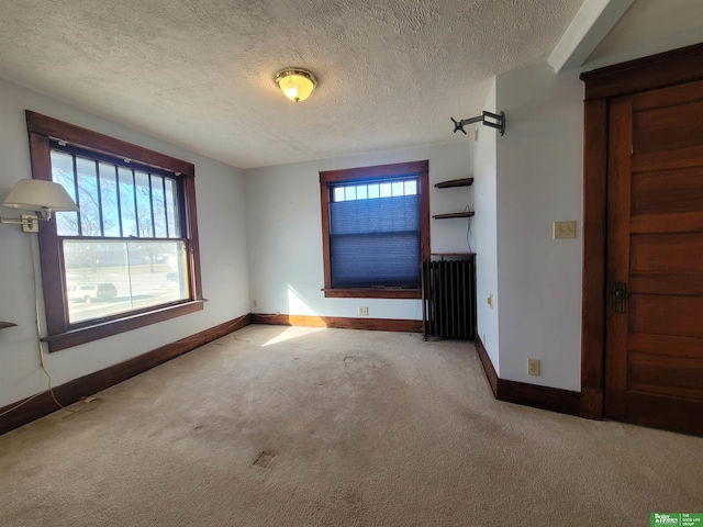 unfurnished living room featuring plenty of natural light, light colored carpet, and a textured ceiling