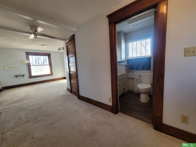 corridor with light colored carpet