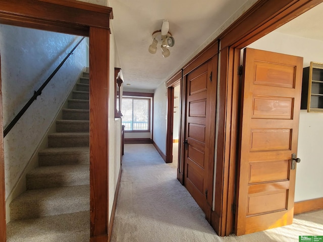 stairway featuring carpet floors