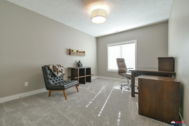 home office with light carpet