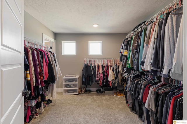 spacious closet with carpet floors