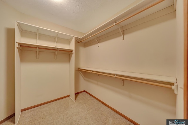 spacious closet featuring light colored carpet