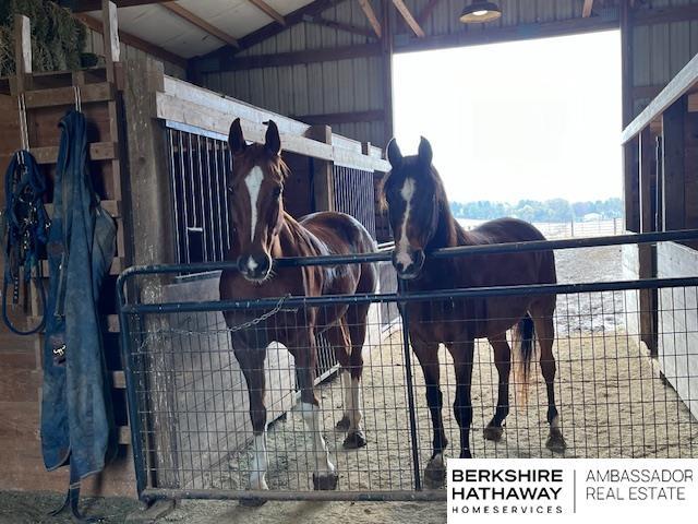 view of horse barn