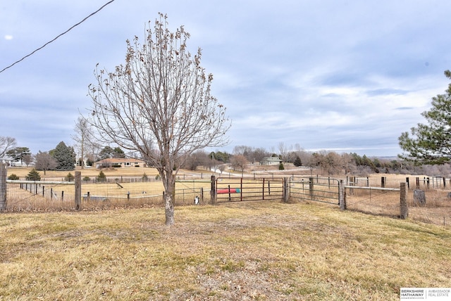 view of yard with a rural view