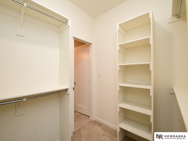 walk in closet featuring light colored carpet